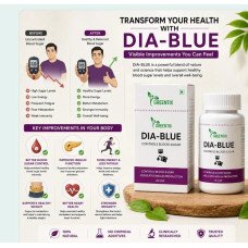 DIABETES SUPPORT 1 B